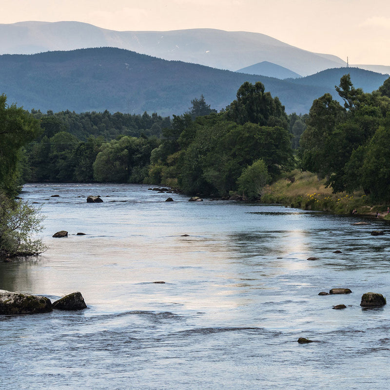 Why Speyside